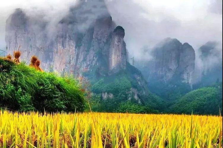 玛丽皇后的时装
