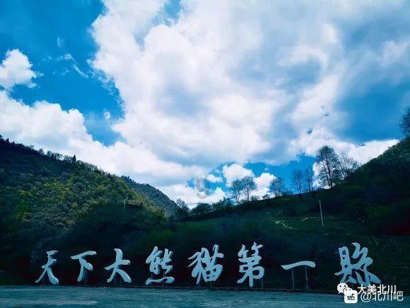漂亮女孩清洗车