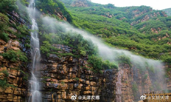 美丽的铅笔裙